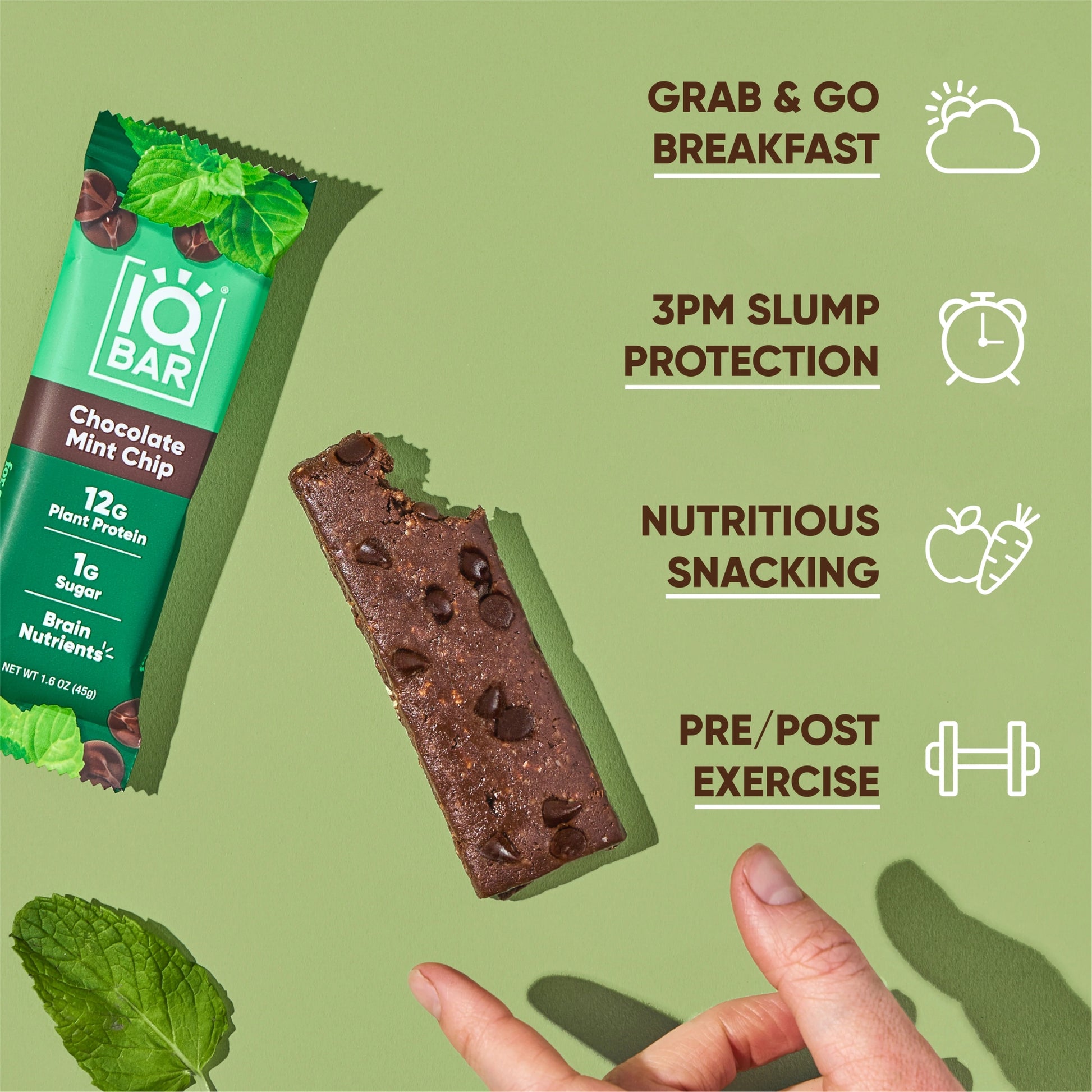 IQBAR® Chocolate Mint Chip Plant Protein Bar