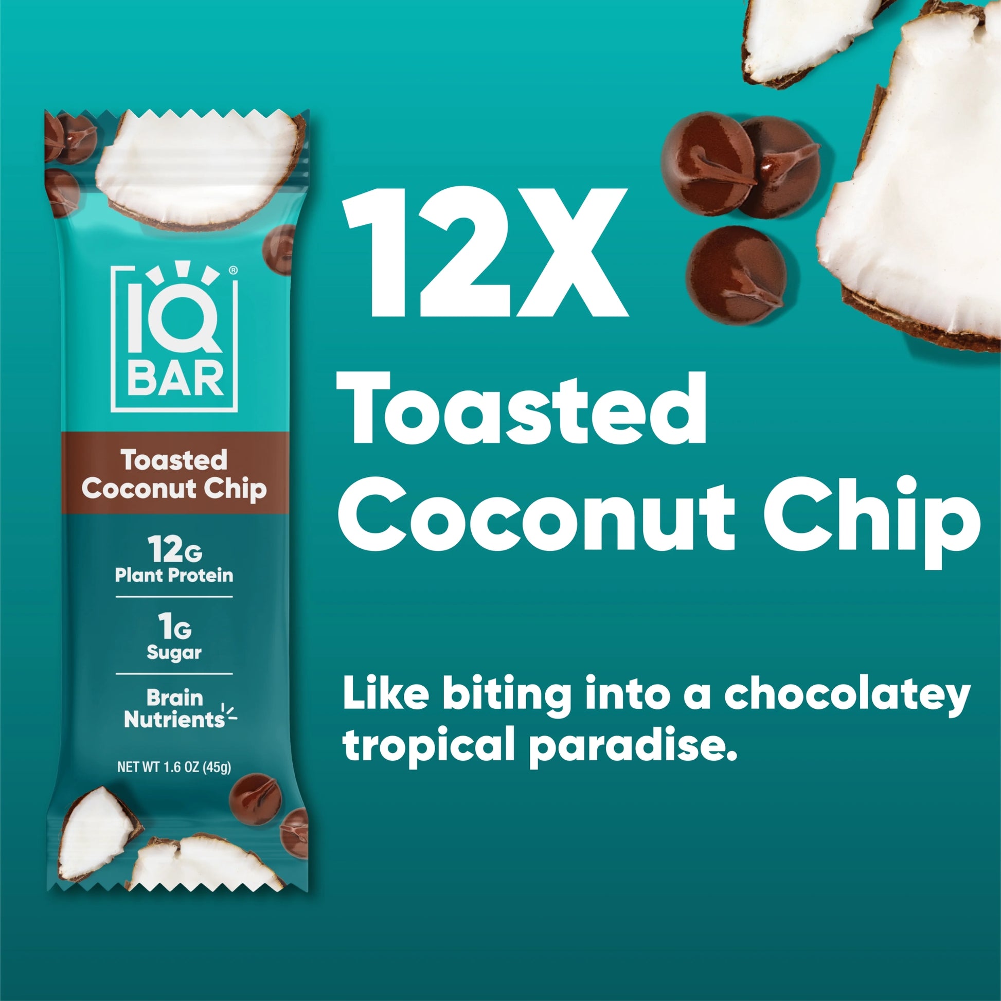 IQBAR® Toasted Coconut Chip Plant Protein Bar Case