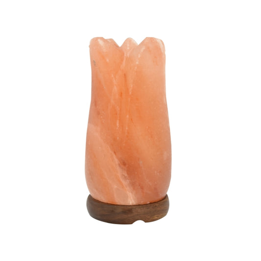 Nabat Natural Himalayan Salt Lamp Lotus