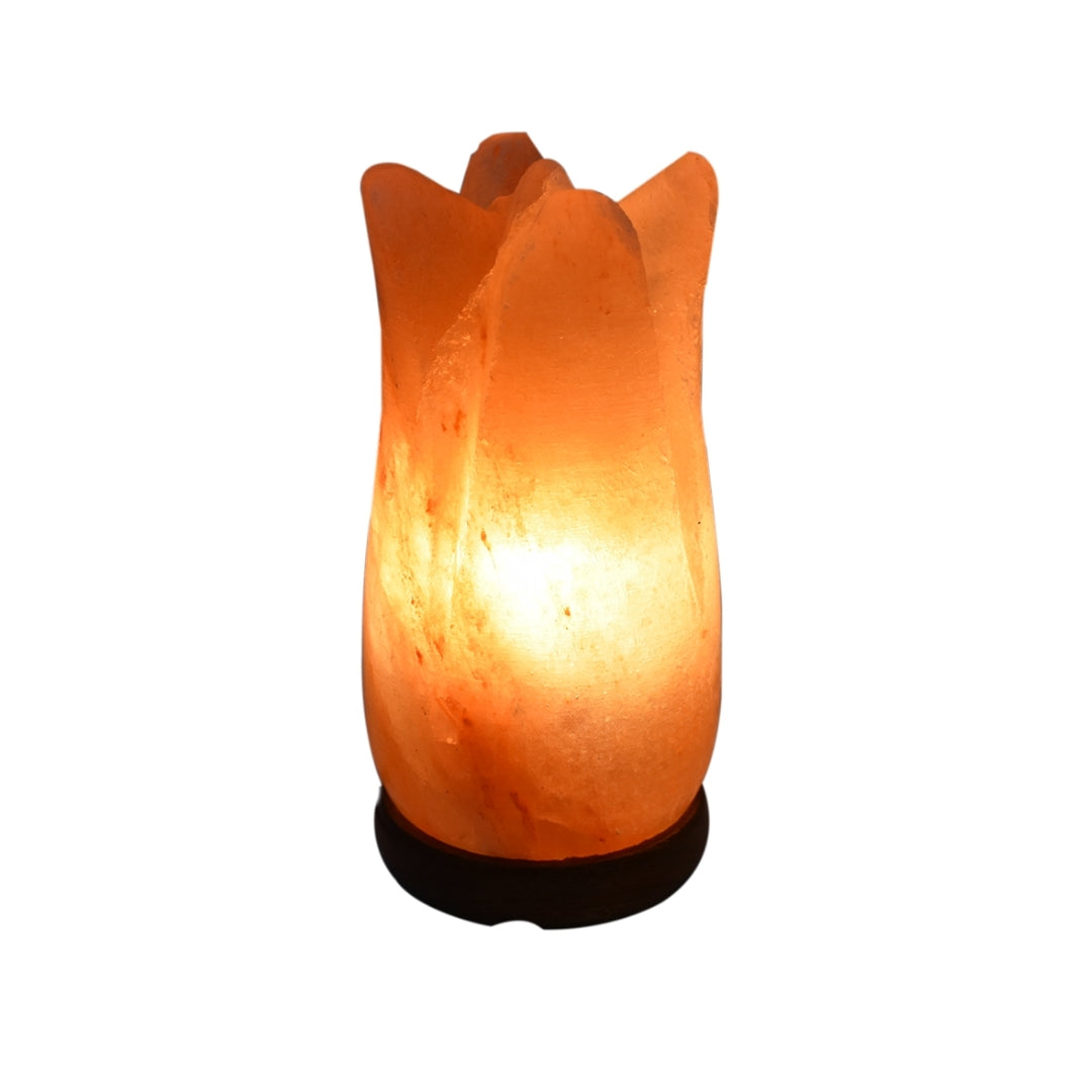 Nabat Natural Himalayan Salt Lamp Lotus